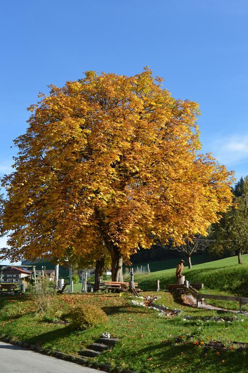 埃布斯镇 Landgasthof Ledererwirt旅馆 外观 照片
