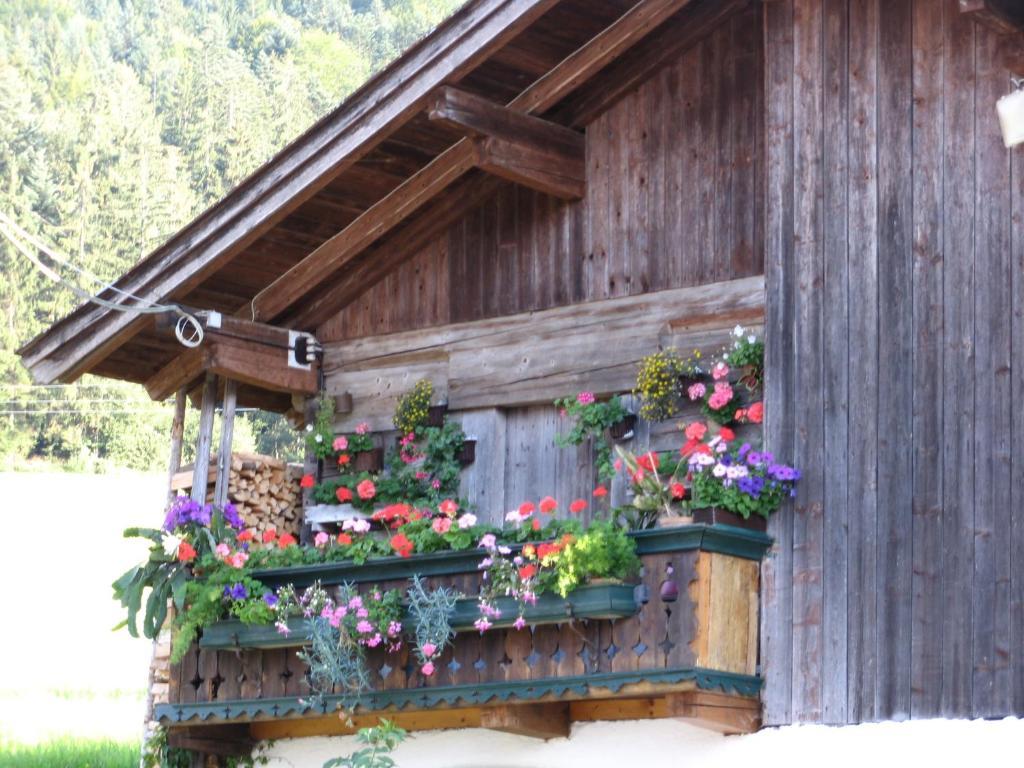 埃布斯镇 Landgasthof Ledererwirt旅馆 外观 照片